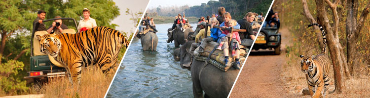 Delhi - Rishikesh - Joshimath - Auli - Corbett - Delhi